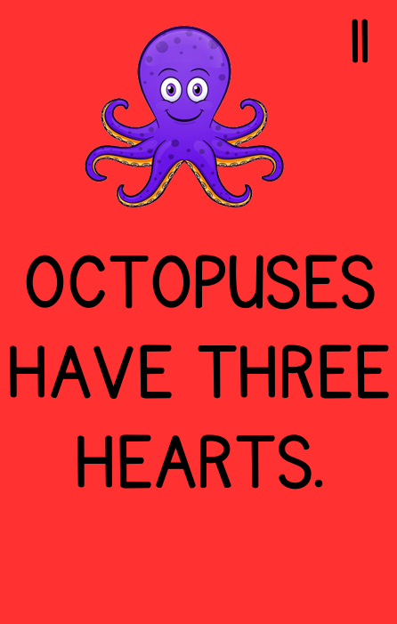 Amazing Animal Facts