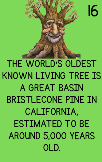 Fun Science Facts